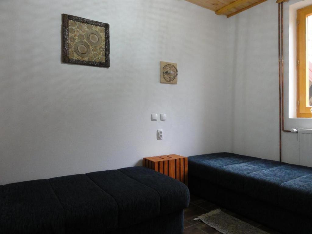 Staroplaninski Apartment